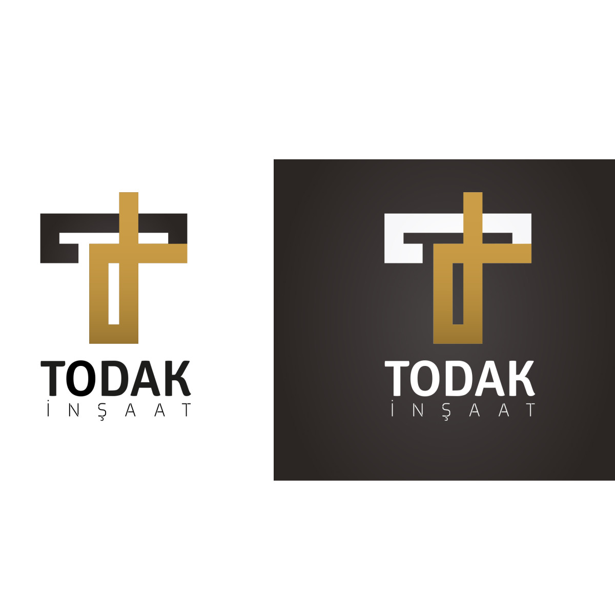Tasarlayan graphyturkey-GÜÇLÜ VE ÖZGÜN FİRMA LOGOSU VE KARTVİZİT