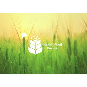 Kadri efendi yarışmasına tasarımcı BedriyePAKIR tarafından sunulan  tasarım 