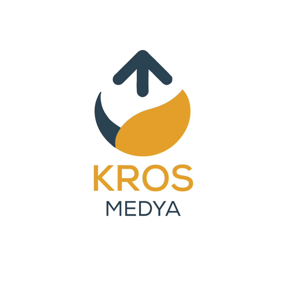 Tasarlayan mcerenk-yeni şirketimize sıradışı logo arıyoruz