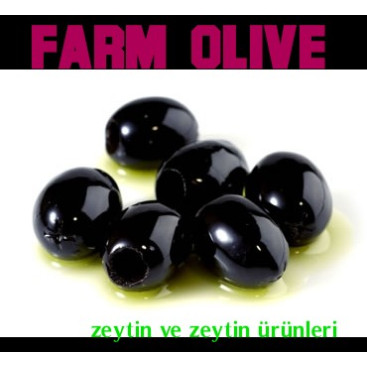 Zeytin ve Zeytin Ürünleri İçin Logo yarışmasına tasarımcı cemre_81 tarafından sunulan  tasarım 
