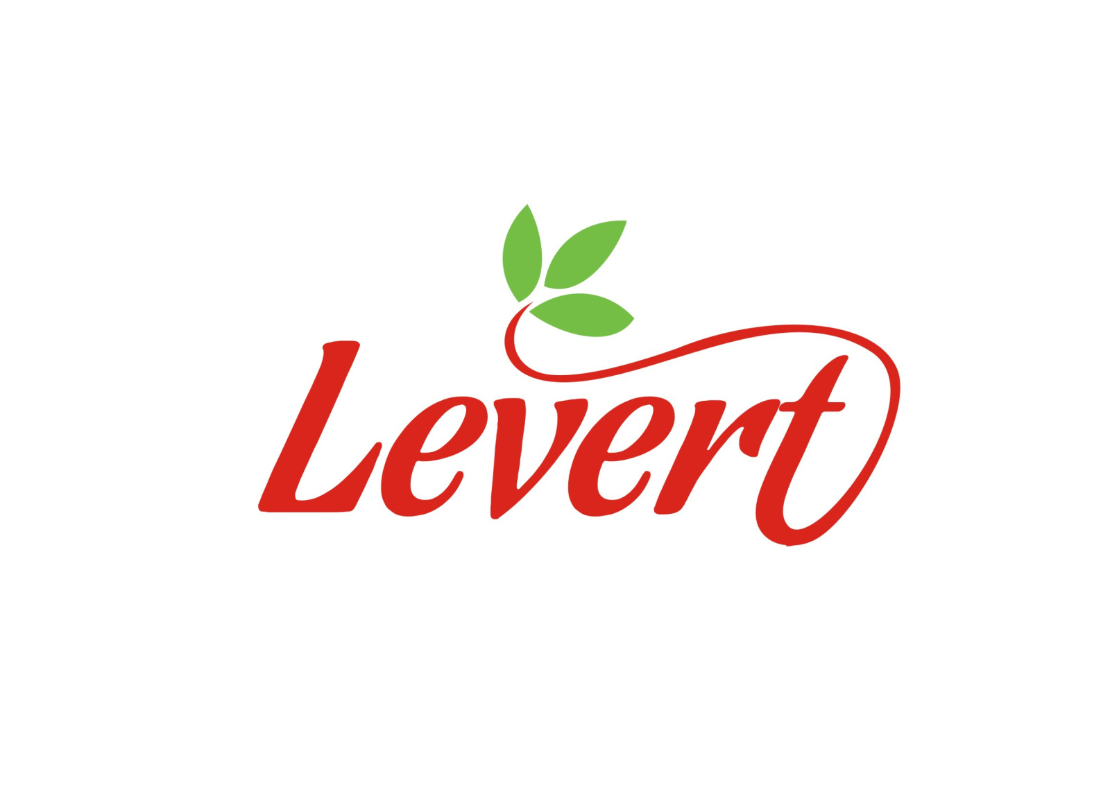 Tasarlayan RΛPİDO-Zarif ve Ciddi Logo Design