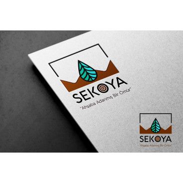 Lüks ahşap yarışmasına tasarımcı Bilgec tarafından sunulan  tasarım 