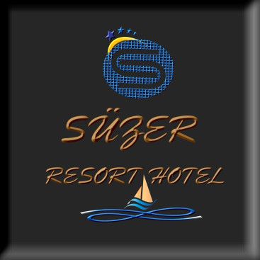 4 YILDIZLI HOTEL İÇİN LOGO ÇALIŞMASI yarışmasına tasarımcı Hancı tarafından sunulan  tasarım 