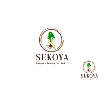 Lüks ahşap yarışmasına tasarımcı izdüsümü tarafından sunulan  tasarım 