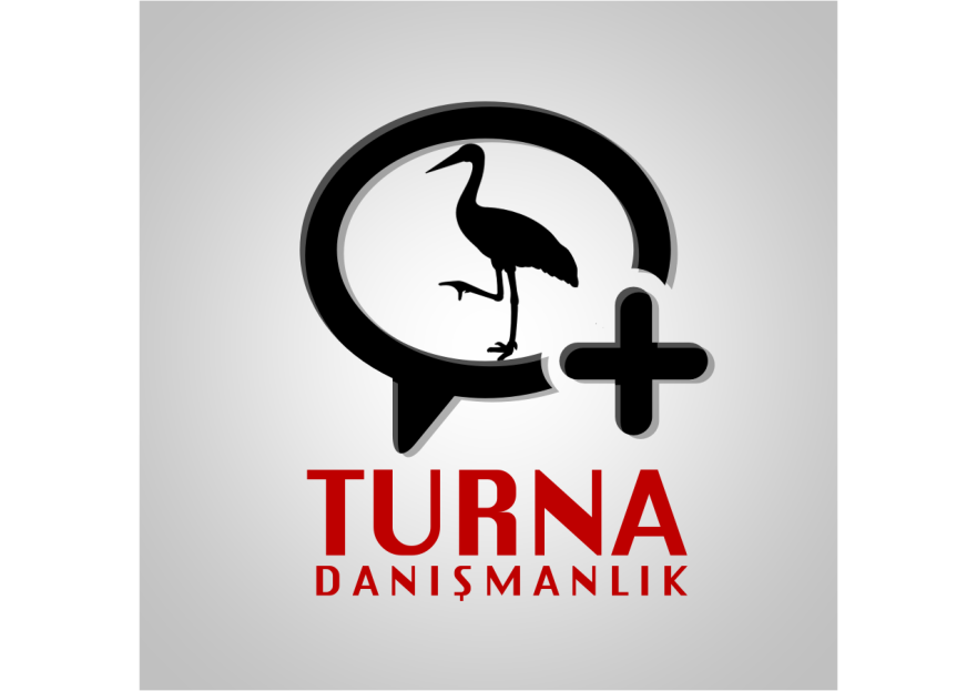 Danışmanlık Şirketi Logo Tasarımı yarışmasına tasarımcı Light Yagami tarafından sunulan  tasarım 