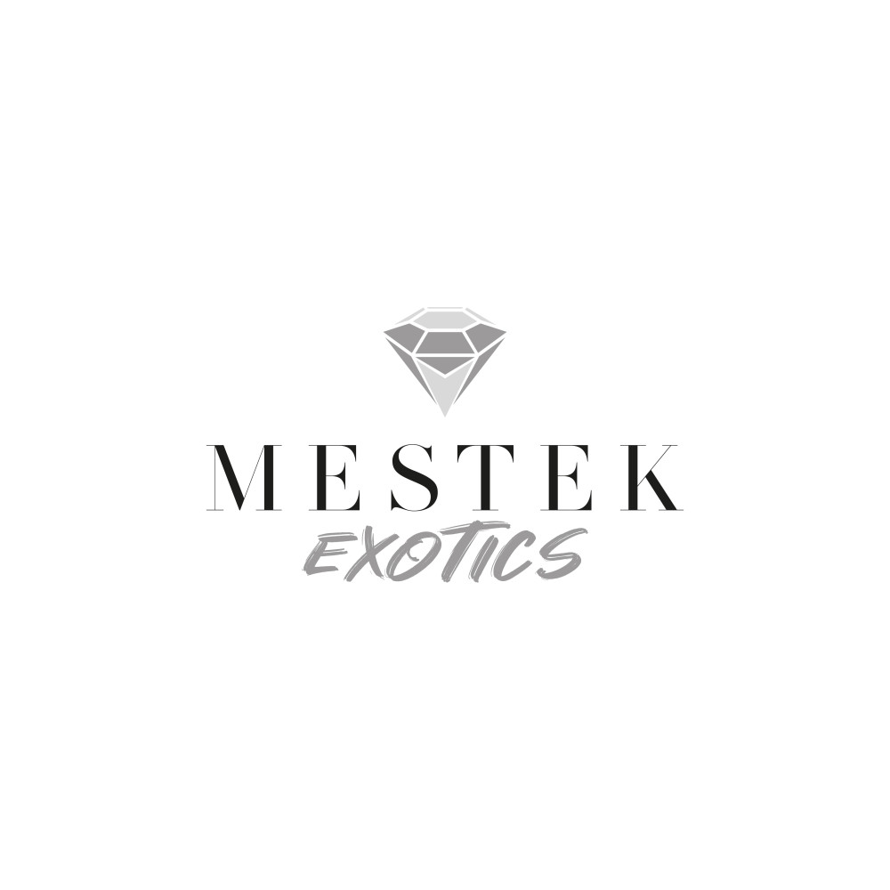 Mücevher Tasarım Firmasına Logo yarışmasına mgyknt tarafından girilen tasarım