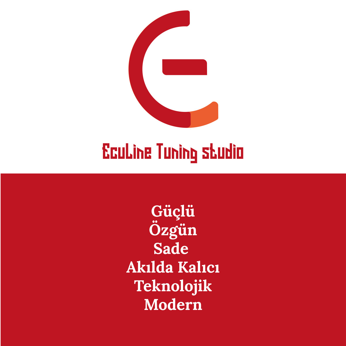 Tasarlayan MucahidYuksel-Ecu performance and Chip Tuning