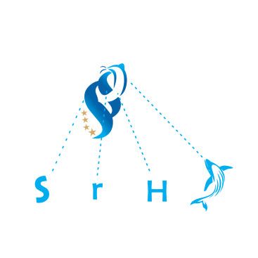 4 YILDIZLI HOTEL İÇİN LOGO ÇALIŞMASI yarışmasına tasarımcı grfkismail tarafından sunulan  tasarım 