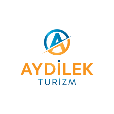 TURİZM TAŞIMA FİRMAMIZA LOGO VE KURUMSAL yarışmasına tasarımcı baylishka tarafından sunulan  tasarım 