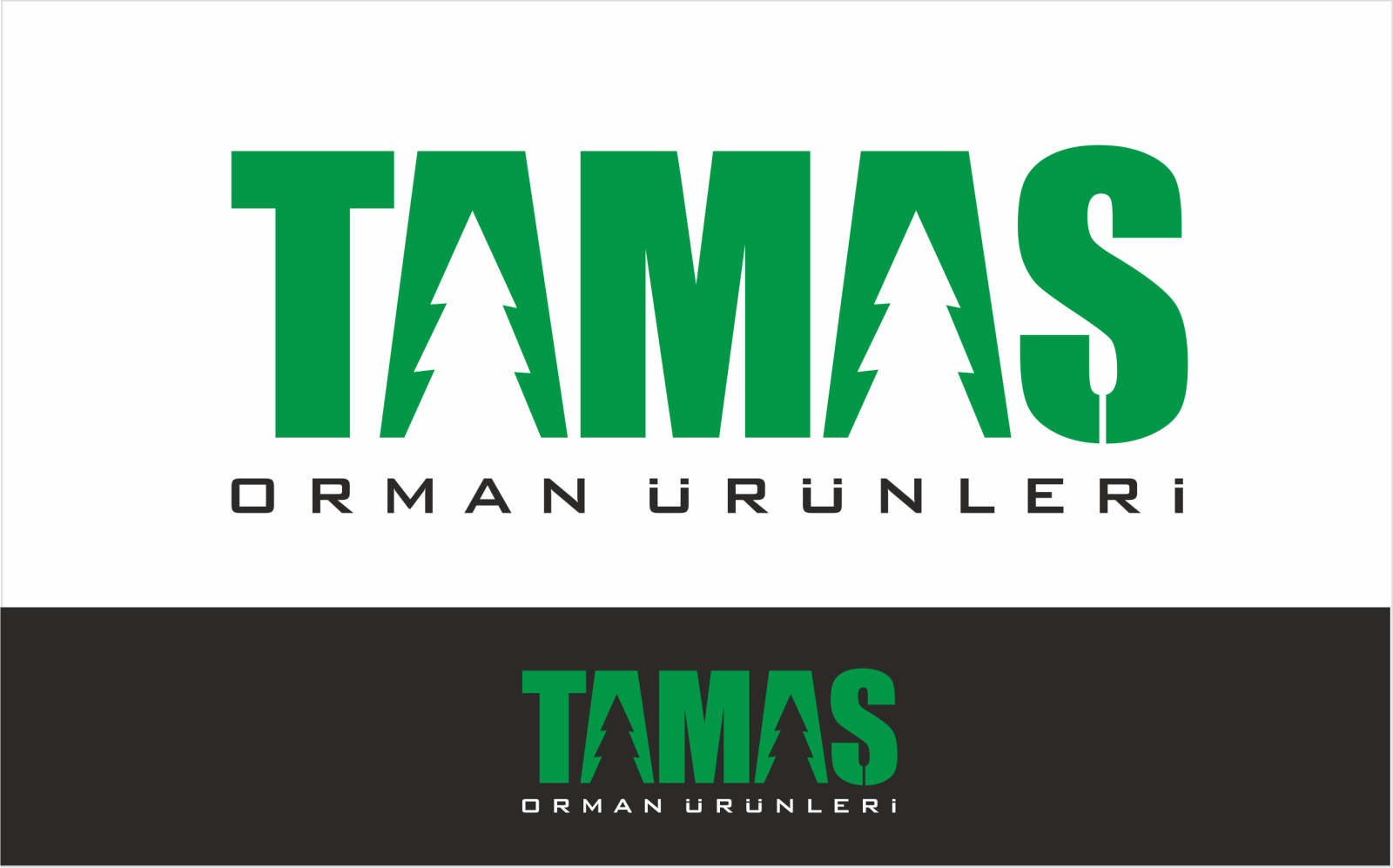 Tasarlayan ErcanH-Avrupa standardında modern Palet Logosu