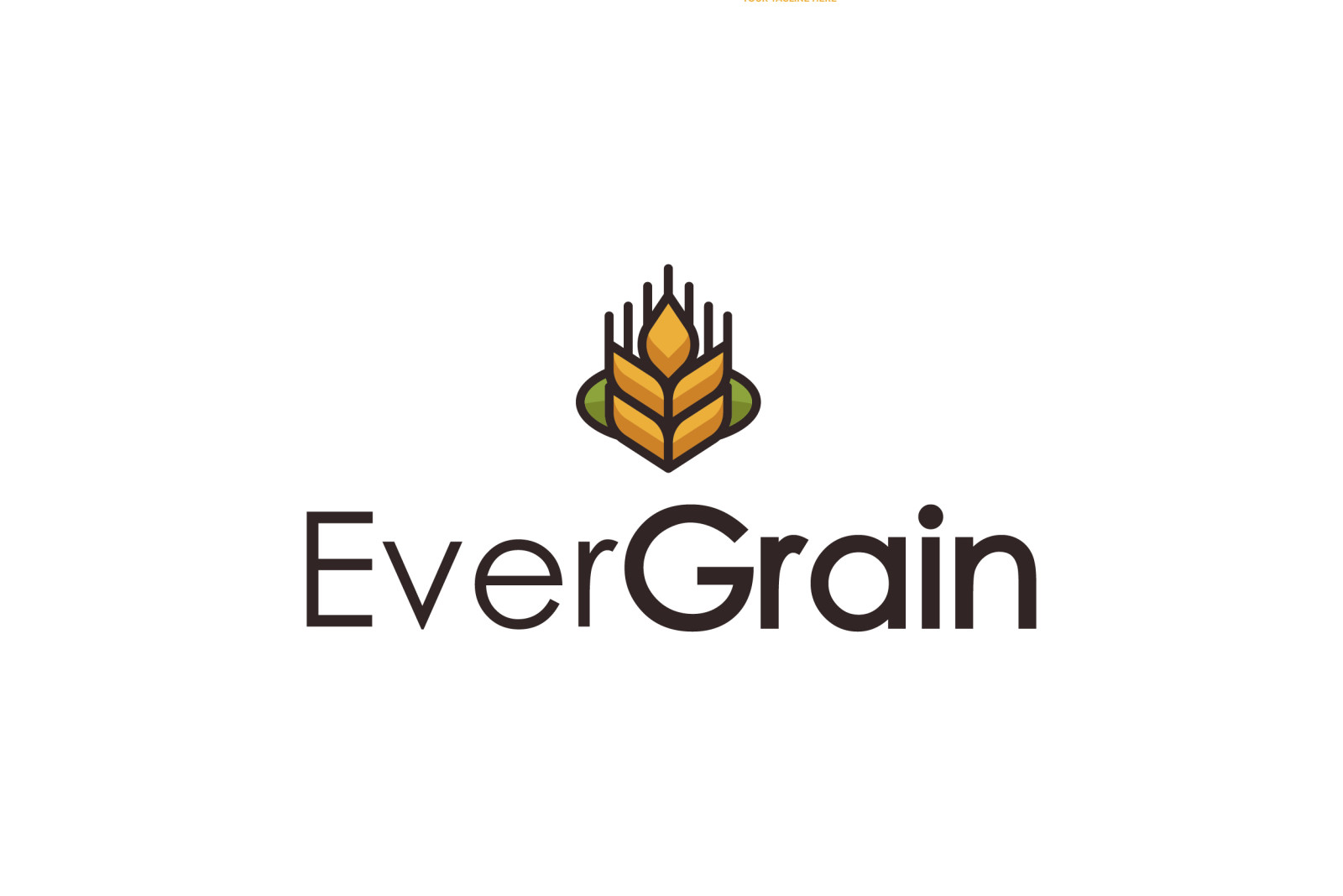 Tasarlayan mervetsoglu-EverGrain LLC