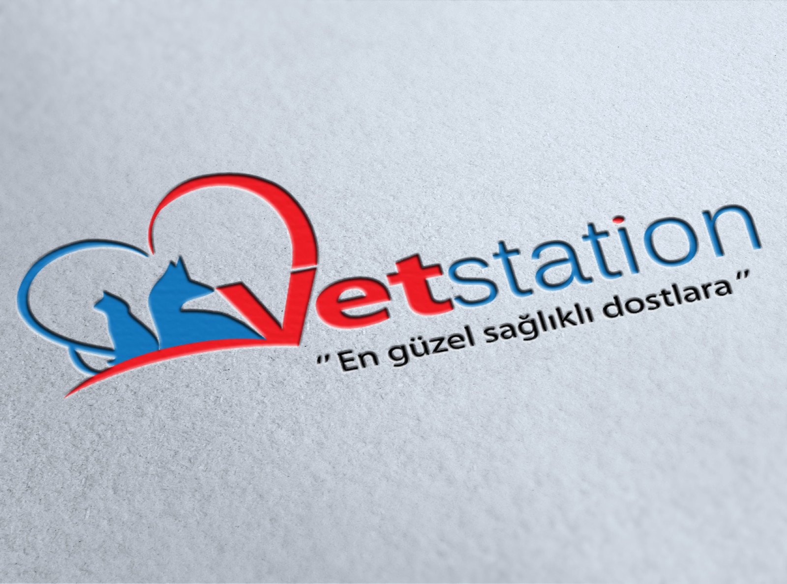 Tasarlayan dream_design-VET STATION VETERİNER KLİNİĞİ   LOGO 