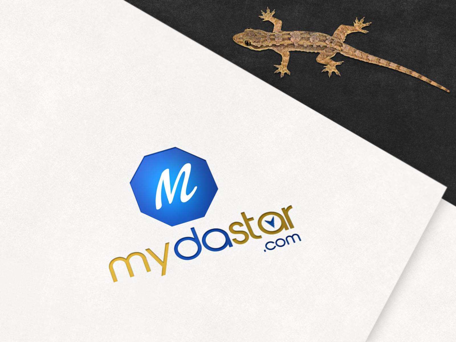 Tasarlayan 724 Designer-mydastar.com logo