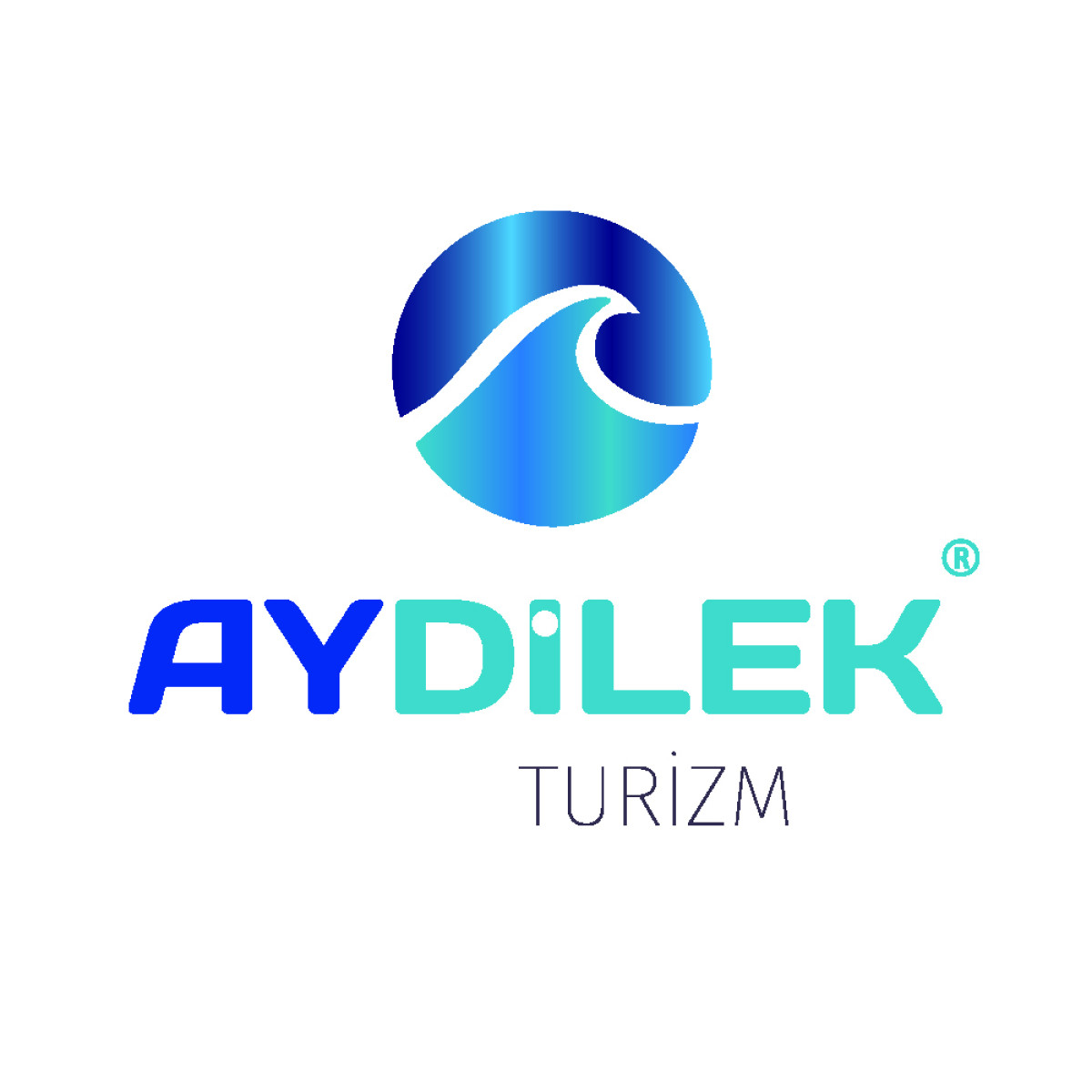 Tasarlayan kubrart-TURİZM TAŞIMA FİRMAMIZA LOGO VE KURUMSAL