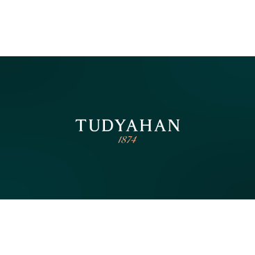 tudyahan 1874 yarışmasına tasarımcı ficonsilion tarafından sunulan  tasarım 