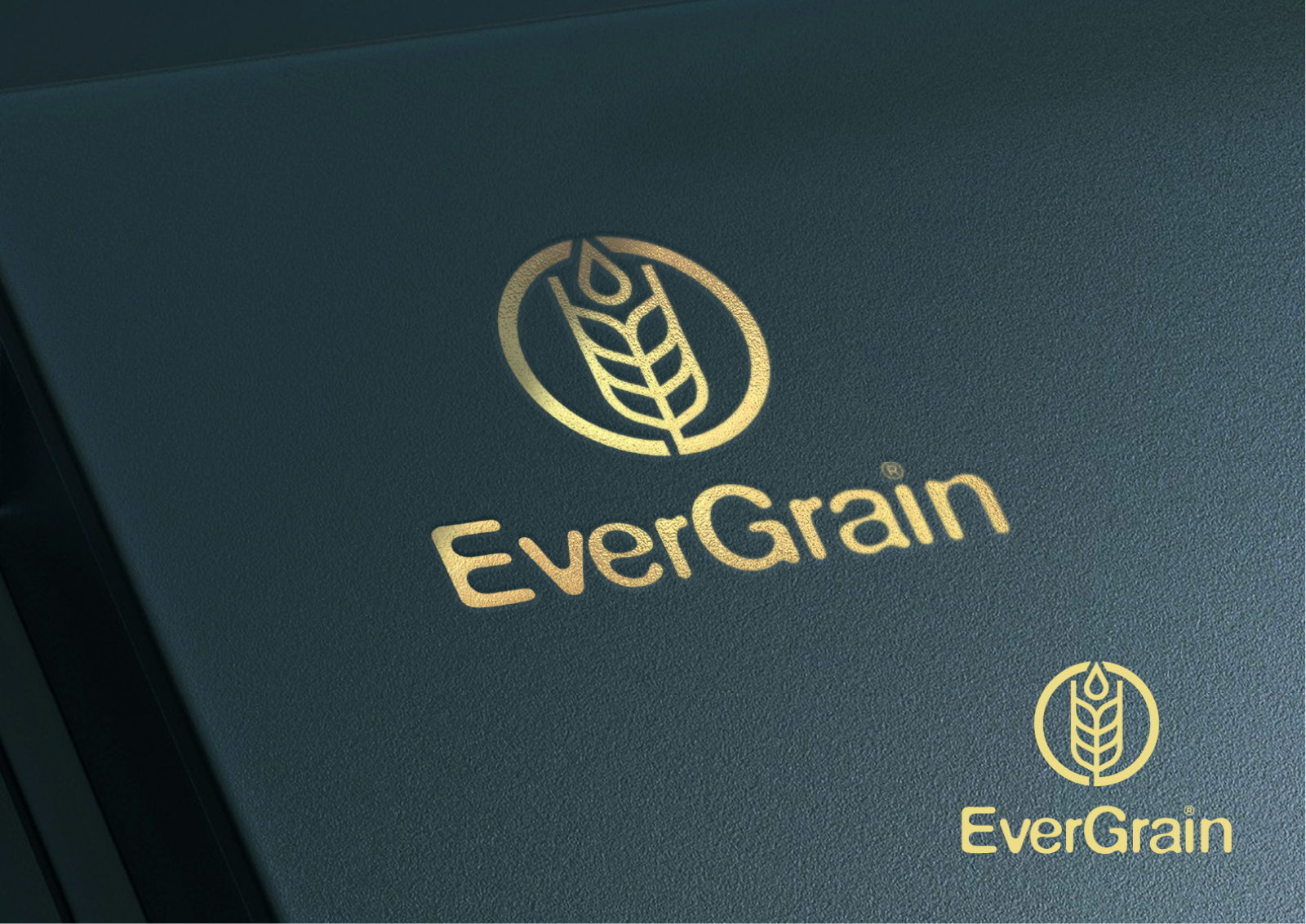 Tasarlayan MS™-EverGrain LLC