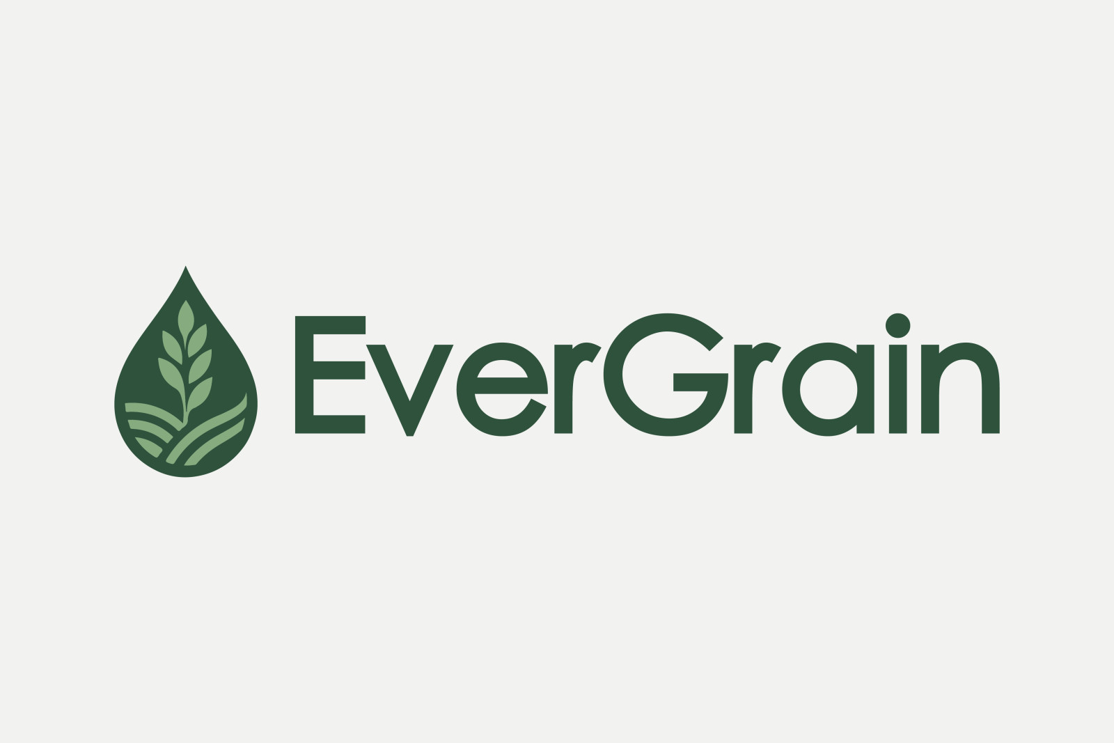 Tasarlayan mervetsoglu-EverGrain LLC