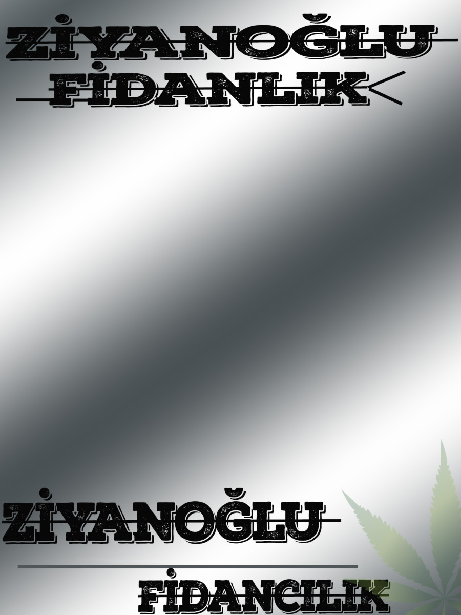 Tasarlayan Application.exit-GÜZEL,ESTETİK VE USTACA YAPILMIŞ