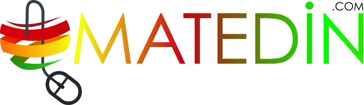 Tasarlayan Berk Eren-E-Ticaret Sitesi Logo Çalışması