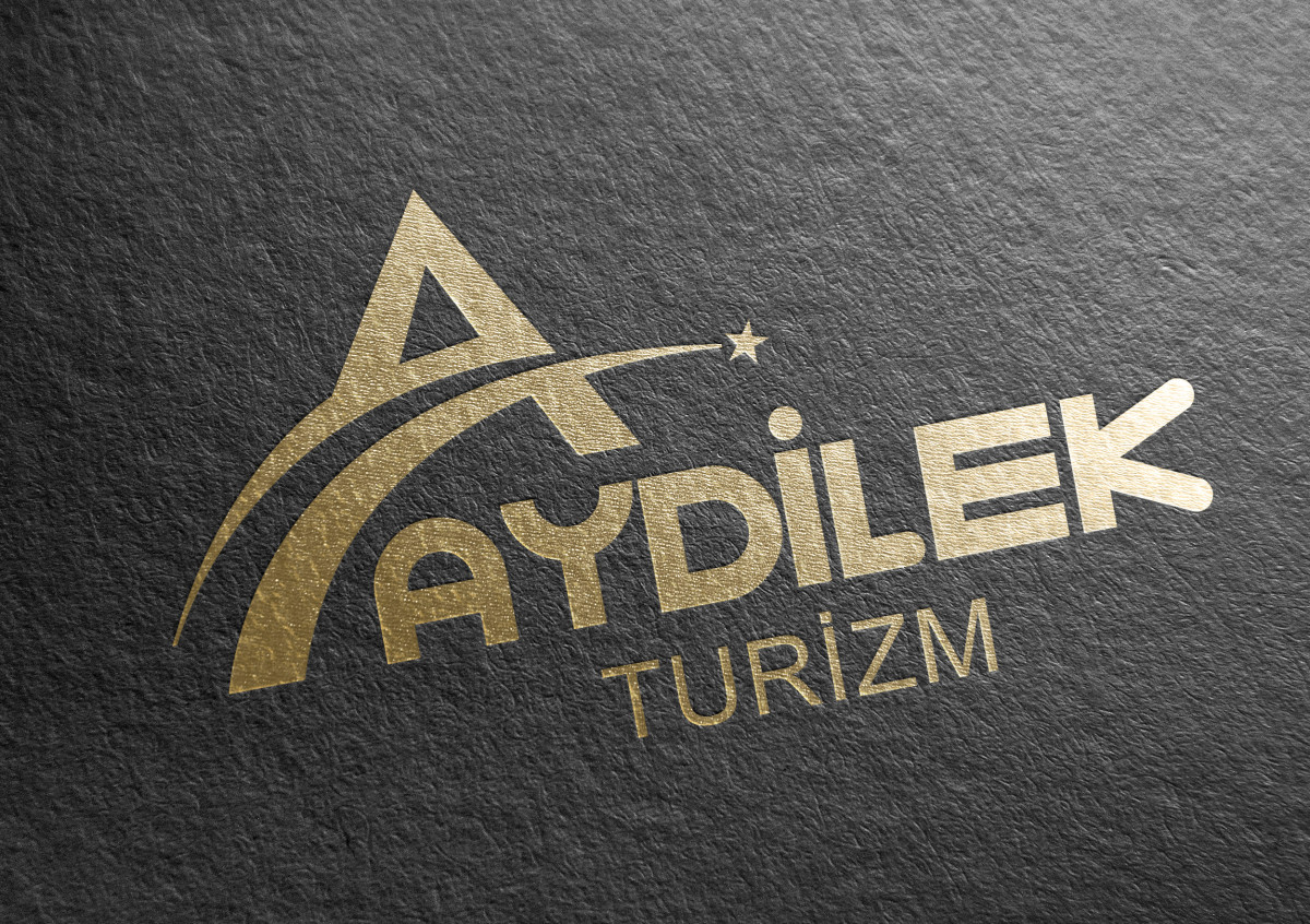 Tasarlayan siliconvalley-TURİZM TAŞIMA FİRMAMIZA LOGO VE KURUMSAL