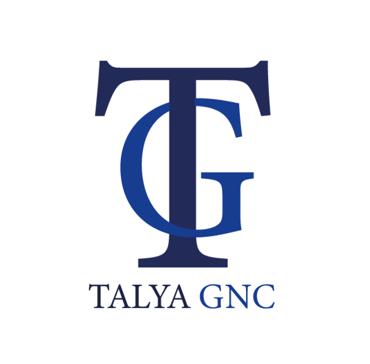 Tasarlayan Sudenur-Firmamız için logo ihtiyacı