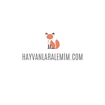 Hayvanlara Dair Herşey !!!  yarışmasına tasarımcı Dünyalı tarafından sunulan  tasarım 