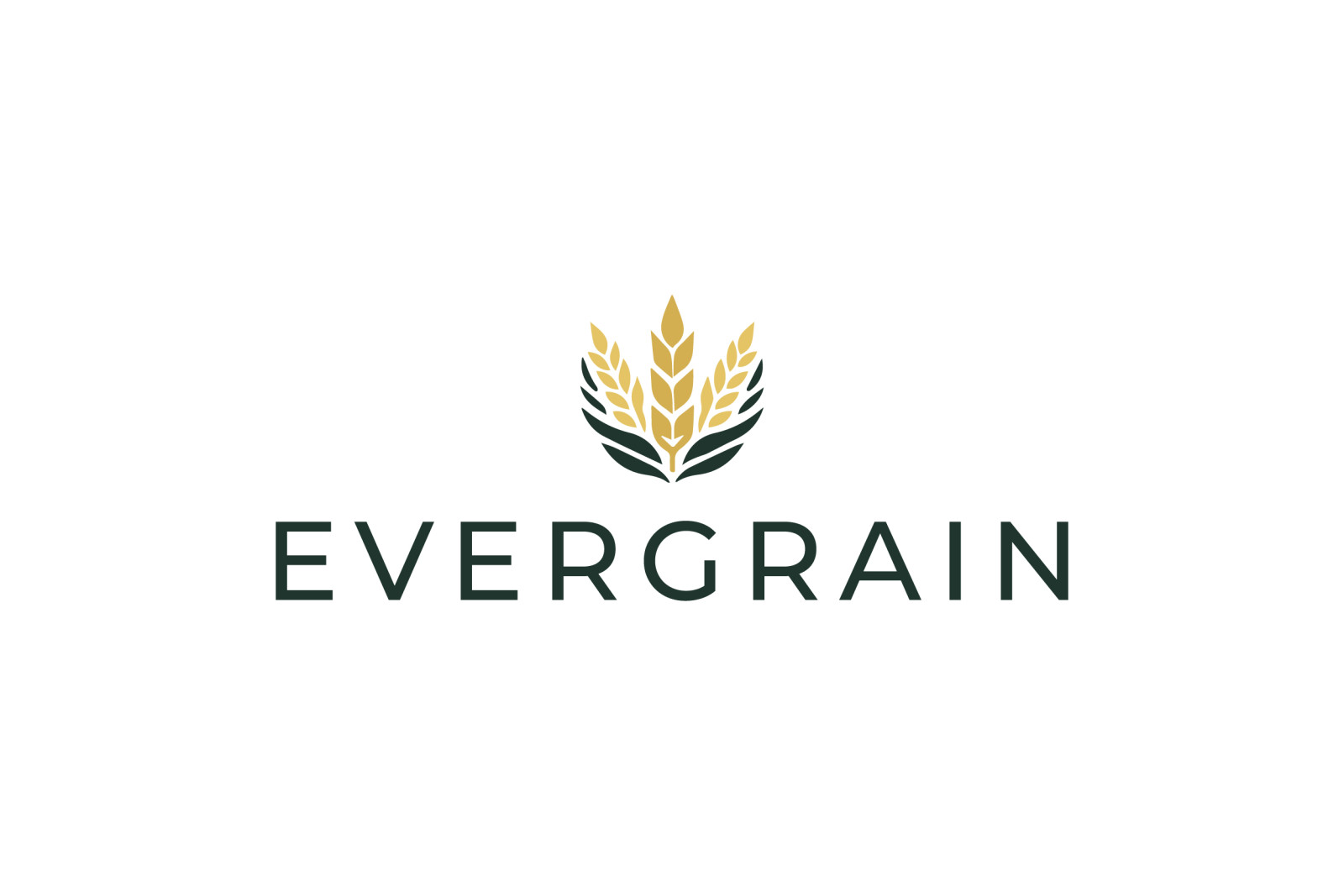Tasarlayan mervetsoglu-EverGrain LLC