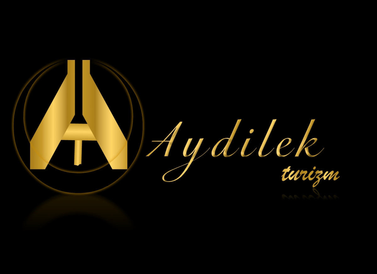 Tasarlayan KnockOut-TURİZM TAŞIMA FİRMAMIZA LOGO VE KURUMSAL