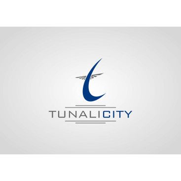 İnşaat ve Ticaret yarışmasına tasarımcı grafer tarafından sunulan  tasarım 