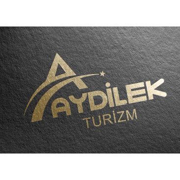TURİZM TAŞIMA FİRMAMIZA LOGO VE KURUMSAL yarışmasına tasarımcı siliconvalley tarafından sunulan  tasarım 
