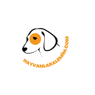 Hayvanlara Dair Herşey !!!  yarışmasına tasarımcı Dünyalı tarafından sunulan  tasarım 