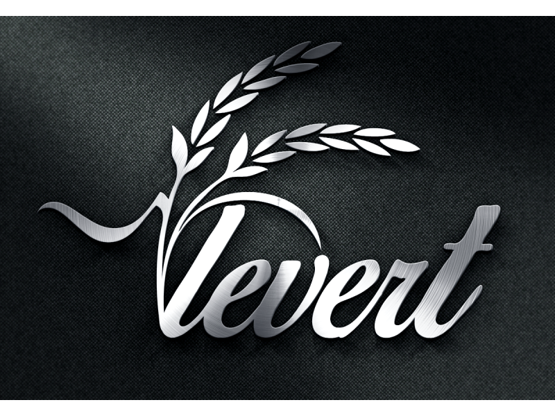 Zarif ve Ciddi Logo Design