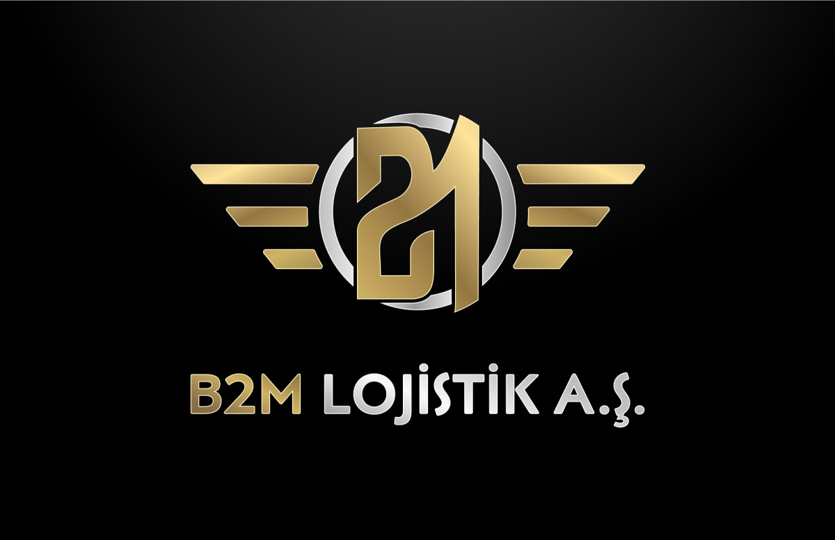 Tasarlayan Graffin_Bey-Lojistik şirketi kurumsal+logo 