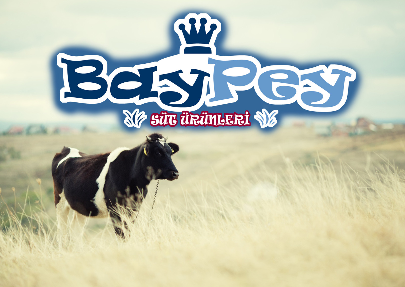 Tasarlayan küçükada-Bay-Pey Süt Ürünleri Logo Tasarımı
