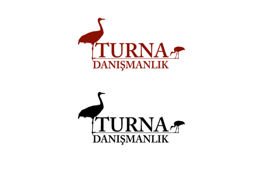 Danışmanlık Şirketi Logo Tasarımı yarışmasına tasarımcı dcreagraph tarafından sunulan  tasarım 