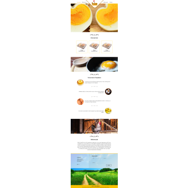 YUMURTA FİRMAMIZA WEB TASARIM yarışmasına tasarımcı drenk tarafından sunulan  tasarım 