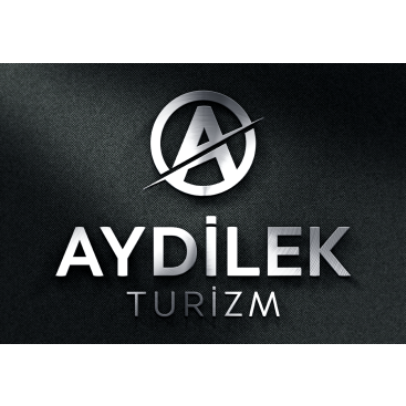 TURİZM TAŞIMA FİRMAMIZA LOGO VE KURUMSAL yarışmasına tasarımcı baylishka tarafından sunulan  tasarım 