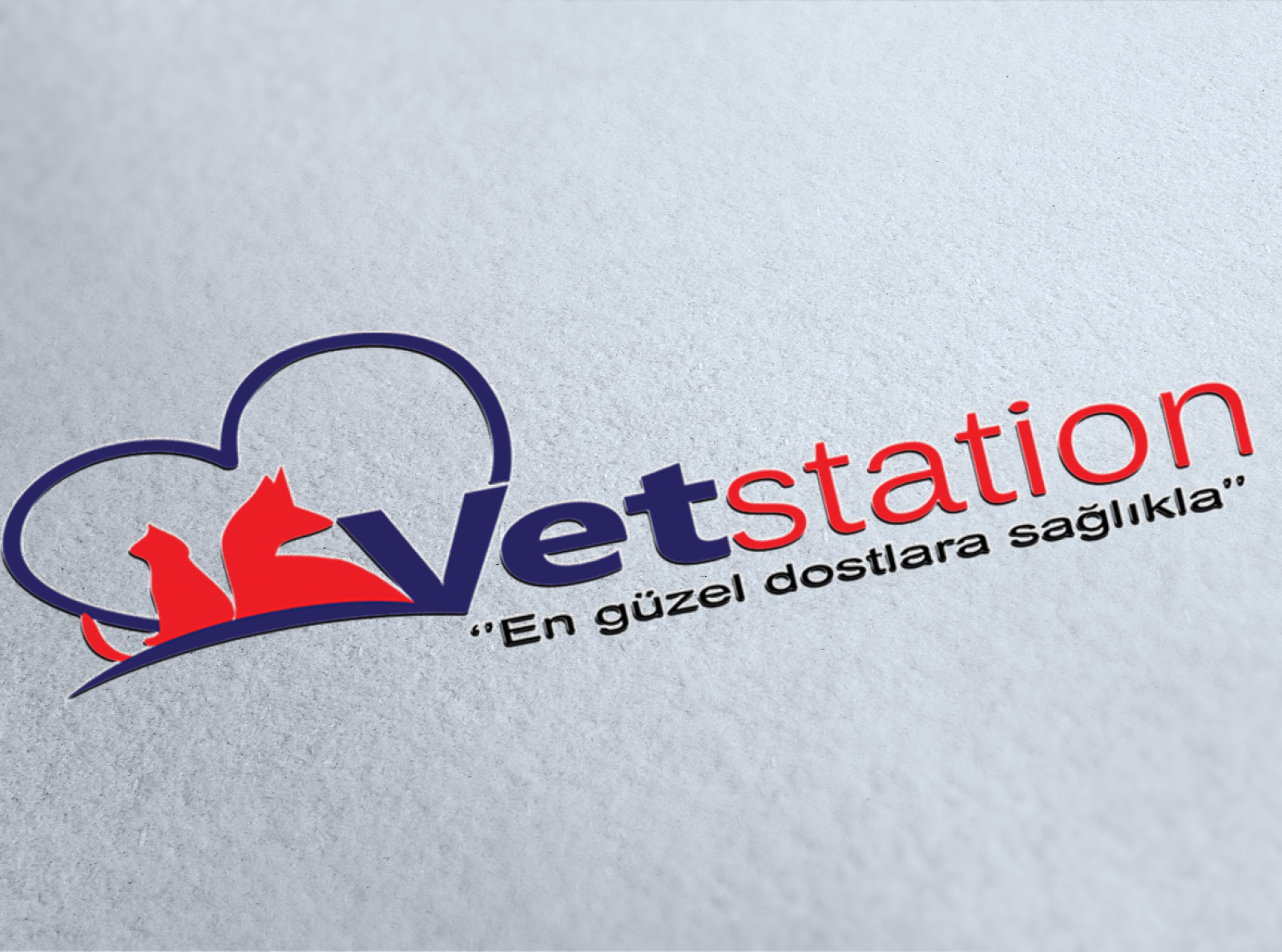 Tasarlayan dream_design-VET STATION VETERİNER KLİNİĞİ   LOGO 