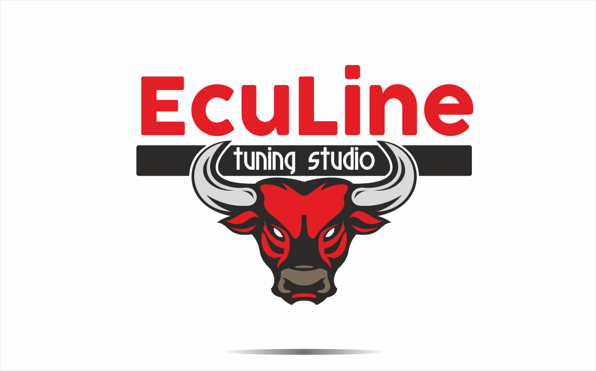 Tasarlayan ErcanH-Ecu performance and Chip Tuning
