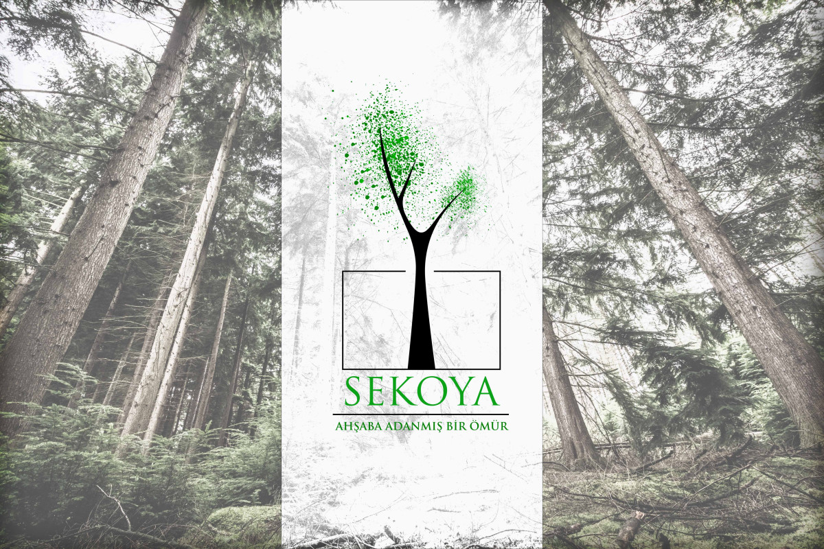 Tasarlayan rüveydagr-Lüks ahşap