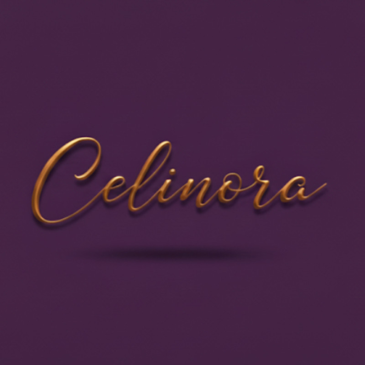 Tasarlayan inanç doğan-Celinora markamıza logo arıyoruz. 
