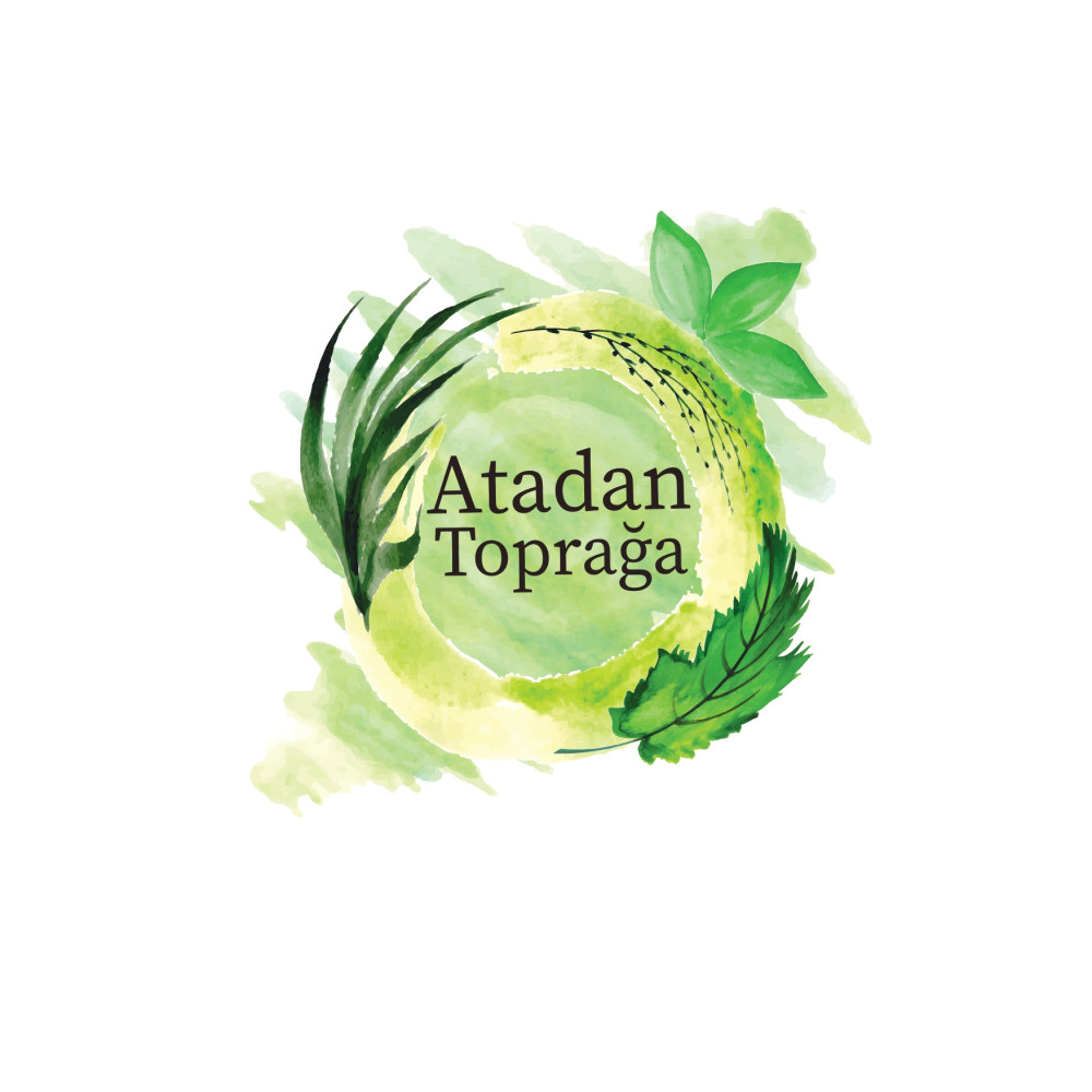 Ata tohumu üreten girişimci 