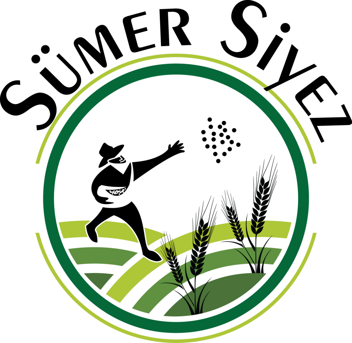 Tasarlayan Pineappleᵀᴹ-SÜMER SİYEZ LOGO TASARIMI