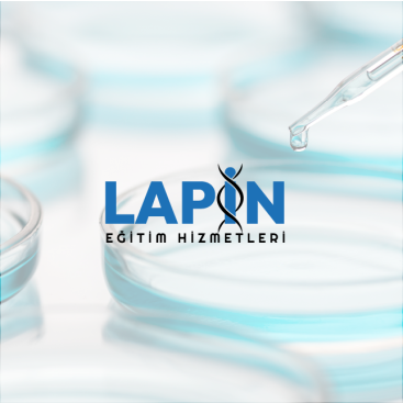 Lapin Eğitim Hizmetleri  yarışmasına tasarımcı sıfırsekizreklam tarafından sunulan  tasarım 