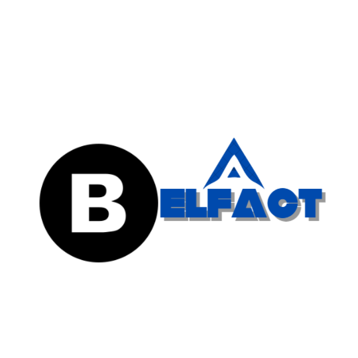 Tasarlayan inanç doğan-Belfact'e Kimlik Kazandır