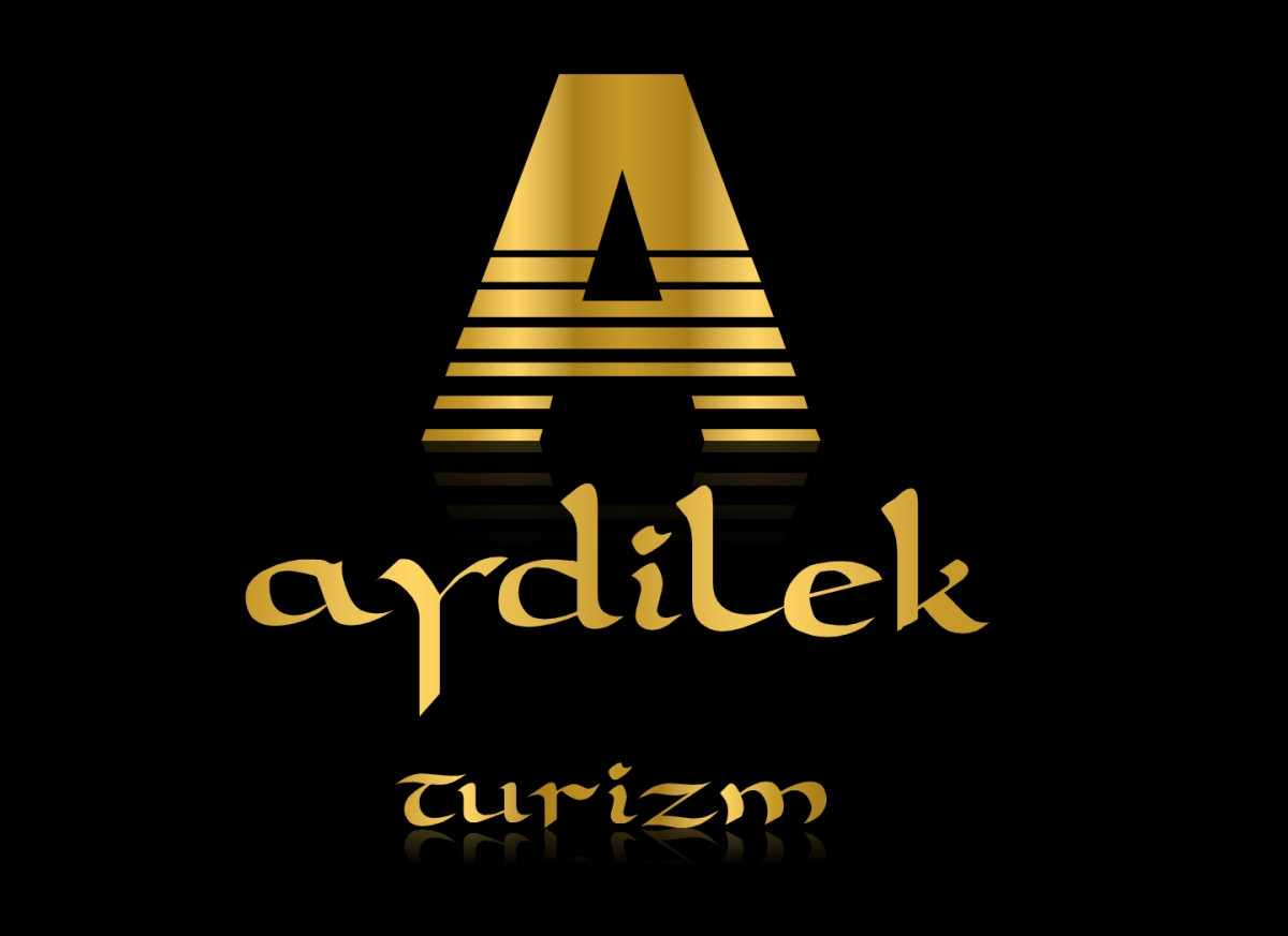 Tasarlayan KnockOut-TURİZM TAŞIMA FİRMAMIZA LOGO VE KURUMSAL