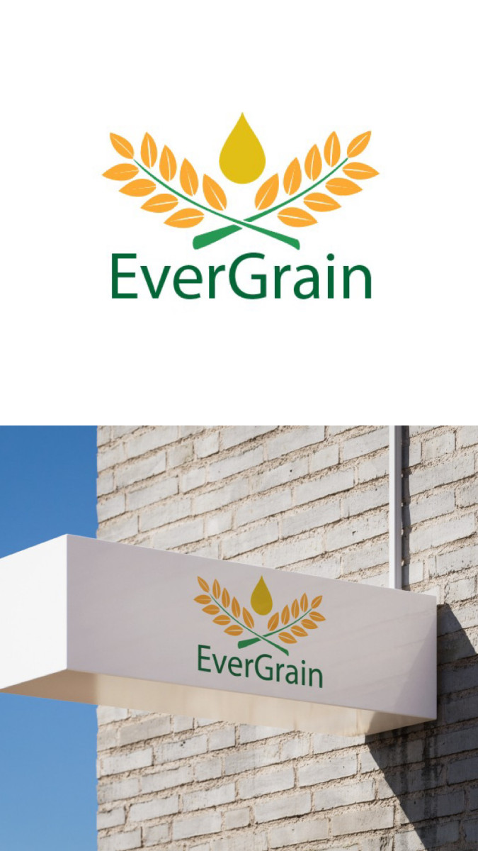 Tasarlayan mbeyzap-EverGrain LLC