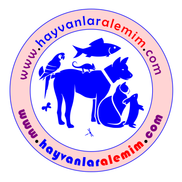 Hayvanlara Dair Herşey !!!  yarışmasına tasarımcı Ram_Tas tarafından sunulan  tasarım 