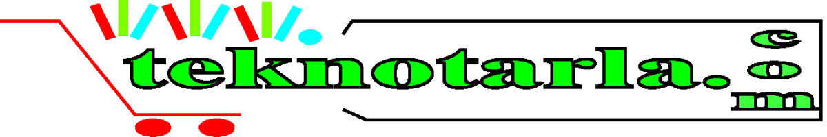 Tasarlayan Sercan_TORUN-E-Ticaret Sitemiz İçin Logo Çalışması