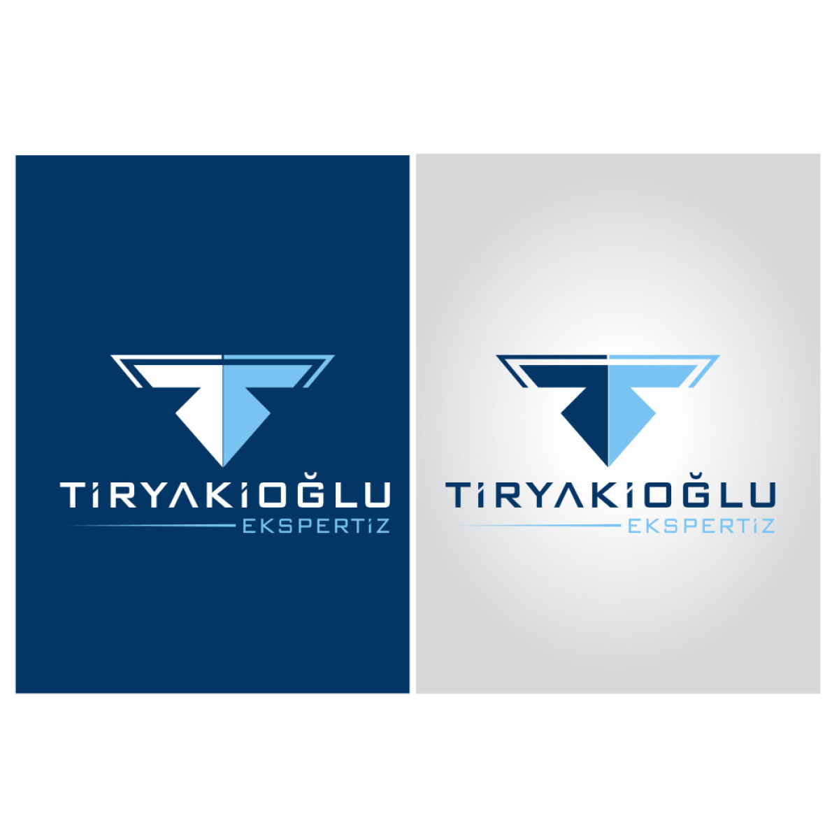 Tasarlayan kuzfe35-Tiryakioğlu Ekspertiz - LOGO